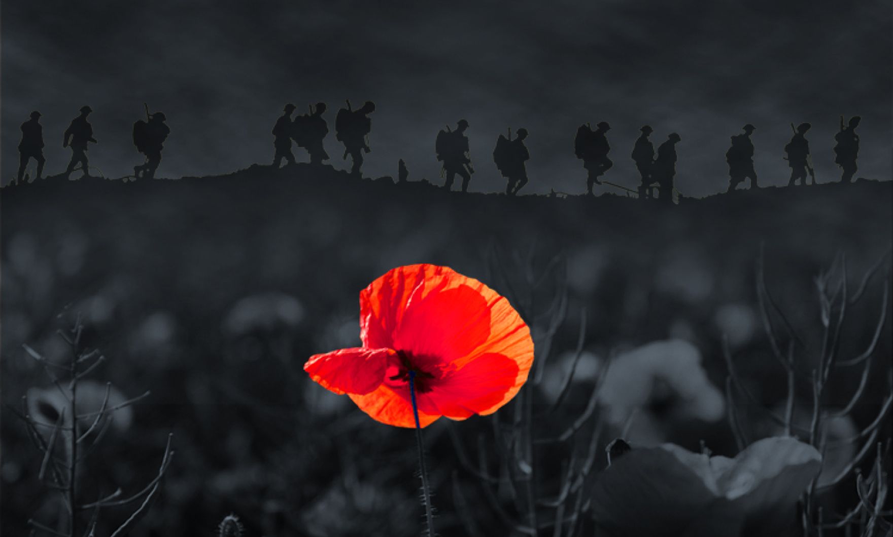 We Will Remember Them